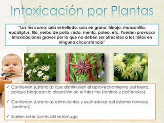 “Los tés como: anís estrellado, anís en grano, hinojo, manzanilla,
eucaliptus, tilo, yerba de pollo, ruda, menta, poleo, etc. Pueden provocar
intoxicaciones graves por lo que no deben ser ofrecidos a los niños en
ninguna circunstancia”
 Contienen sustancias que disminuyen el aprovechamiento del hierro,
porque bloquean la absorción en el intestino (taninos y polifenoles).
 Contienen sustancias estimulantes y excitadoras del sistema nervioso
(xantinas).
 Suelen ser irritantes del estómago
 