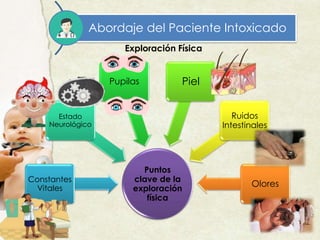 Abordaje del Paciente Intoxicado
Exploración Física
Puntos
clave de la
exploración
física
Constantes
Vitales
Estado
Neurológico
Pupilas Piel
Ruidos
Intestinales
Olores
 