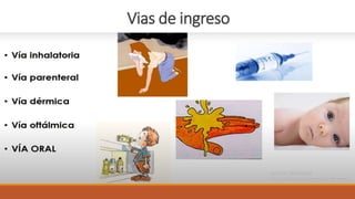 Vias de ingreso
 
