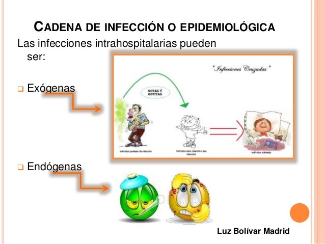 Es cuántos días el análisis a los huevos la lombriz