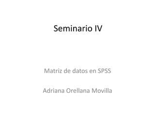 Seminario IV



Matriz de datos en SPSS

Adriana Orellana Movilla
 