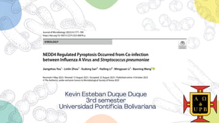 Kevin Esteban Duque Duque
3rd semester
Universidad Pontificia Bolivariana
 