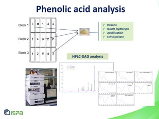 n
n
n
Phenolic acid analysis
 Hexane
 NaOH hydrolysis
 Acidification
 Ethyl acetate
HPLC-DAD analysis
 