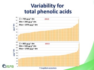 Variability for
total phenolic acidsμgg-1dm
0
200
400
600
800
1000
1200
1400
1600
2012= 730 μg g-1 dm
Min = 340 μg g-1 dm
Max = 1470 μg g-1 dm
T. turgidum accessions
0
200
400
600
800
1000
1200
1400
1600
1800
μgg-1dm
2013= 802 μg g-1 dm
Min = 540 μg g-1 dm
Max = 1700 μg g-1 dm
 