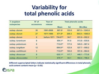 T. turgidum
subspecies
N° of
accessions
Year of
release
Total phenolic acids
Mean Sd Min-Max
subsp. durum 30 1991-2008 807.6a 153.8 587.0 – 1243.0
subsp. durum 27 1971-1990 871.0b 205.3 593.0 – 1585.0
subsp. durum 8 before 1971 794.0abc 94.7 651.0 – 952.2
subsp. turanicum 8 654.1d 91.0 513.8 – 835.6
subsp. polonicum 8 713.8ad 117.6 545.5 – 867.4
subsp. turgidum 12 694.8cd 123.9 527.7 – 959.2
subsp. carthlicum 3 712.8ad 163.0 551.6 – 864.0
subsp. dicoccum 9 635.1cd 117.7 440.1 – 773.8
subsp. dicoccoides 7 670.1d 84.1 562.4 – 798.4
Variability for
total phenolic acids
Different superscripted letters indicate statistically significant differences in total phenolic
acid content content mean (p < 0.05)
 