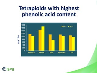 0
200
400
600
800
1000
1200
1400
1600
1800
Pedroso Ambral Mida Primadur Tito
2012 2013
Tetraploids with highest
phenolic acid contentμgg-1dm
 