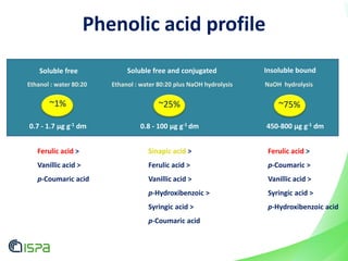Phenolic acid profile
Ferulic acid >
Vanillic acid >
p-Coumaric acid
Sinapic acid >
Ferulic acid >
Vanillic acid >
p-Hydroxibenzoic >
Syringic acid >
p-Coumaric acid
Ferulic acid >
p-Coumaric >
Vanillic acid >
Syringic acid >
p-Hydroxibenzoic acid
~25%~1% ~75%
Soluble free Soluble free and conjugated Insoluble bound
0.7 - 1.7 μg g-1 dm 0.8 - 100 μg g-1 dm 450-800 μg g-1 dm
Ethanol : water 80:20 Ethanol : water 80:20 plus NaOH hydrolysis NaOH hydrolysis
 