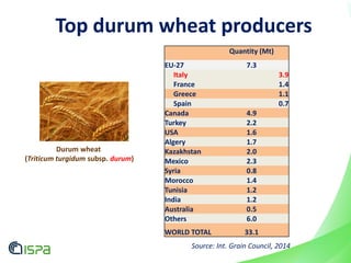 Source: Int. Grain Council, 2014
Quantity (Mt)
EU-27 7.3
Italy 3.9
France 1.4
Greece 1.1
Spain 0.7
Canada 4.9
Turkey 2.2
USA 1.6
Algery 1.7
Kazakhstan 2.0
Mexico 2.3
Syria 0.8
Morocco 1.4
Tunisia 1.2
India 1.2
Australia 0.5
Others 6.0
WORLD TOTAL 33.1
Top durum wheat producers
Durum wheat
(Triticum turgidum subsp. durum)
 