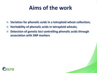 Aims of the work
 Variation for phenolic acids in a tetraploid wheat collection;
 Heritability of phenolic acids in tetraploid wheats;
 Detection of genetic loci controlling phenolic acids through
association with SNP markers
 