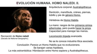 Seminario La evolución humana_4ª sesión.pdf