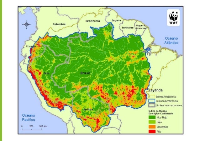 Los desafíos de la Amazonía en el Siglo XXI