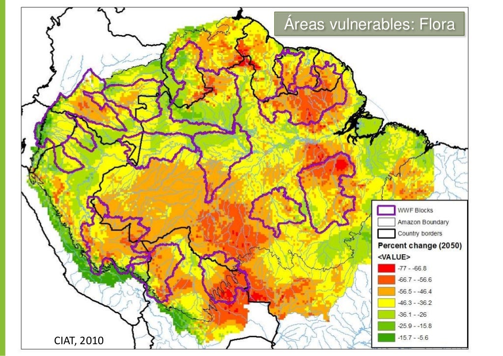 Los desafíos de la Amazonía en el Siglo XXI