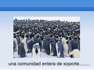 una comunidad entera de soporte........ 