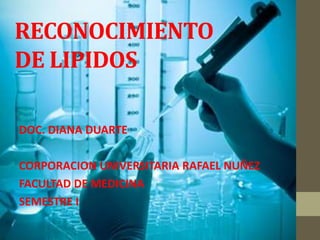 RECONOCIMIENTO
DE LIPIDOS
DOC. DIANA DUARTE
CORPORACION UNIVERSITARIA RAFAEL NUÑEZ
FACULTAD DE MEDICINA
SEMESTRE I
 