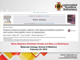 Molecular biology, School of Medicine
February 23- 2015
María Alejandra Aristizábal Giraldo and Mary Luz Bohórquez
 