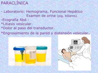 PARACLÍNICA

- Laboratorio: Hemograma, Funcional Hepático
                Examen de orina (pig. biliares)
-Ecografía Abd.:
*Litiasis vesicular.
*Dolor al paso del transductor.
*Engrosamiento de la pared y distensión vesicular.
 