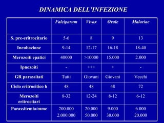 DINAMICA DELL’INFEZIONE 6.000 20.000 9.000 30.000 20.000 50.000 200.000 2.000.000 Parassitemia/mmc 6-12 8-12 12-24 8-32 Merozoiti eritrocitari 72 48 48 48 Ciclo eritrocitico h Vecchi Giovani Giovani Tutti GR parassitati - + +++ - Ipnozoiti 2.000 15.000 >10000 40000 Merozoiti epatici 18-40 16-18 12-17 9-14 Incubazione 13 9 8 5-6 S. pre-eritrocitario Malariae Ovale Vivax Falciparum 