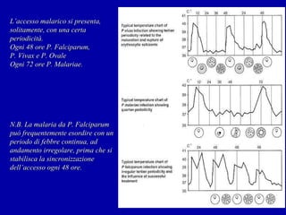 L’accesso malarico si presenta, solitamente, con una certa periodicità. Ogni 48 ore P. Falciparum,  P. Vivax e P. Ovale Ogni 72 ore P. Malariae. N.B. La malaria da P. Falciparum può frequentemente esordire con un periodo di febbre continua, ad andamento irregolare, prima che si stabilisca la sincronizzazione dell’accesso ogni 48 ore. 