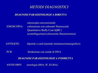 METODI DIAGNOSTICI emoscopia convenzionale EMOSCOPIA:  colorazione con coloranti fluorescenti Quantitative Buffy Coat (QBC)  (centrifugazione/colorazione fluorocromica) DIAGNOSI   PARASSITOLOGICA DIRETTA ANTIGENI:  dipstick o card (metodo immunocromatografico) PCR:  ibridazione con sonde di DNA DIAGNOSI PARASSITOLOGICA INDIRETTA ANTICORPI:  sierologia (IHA; IF, ELISA) 