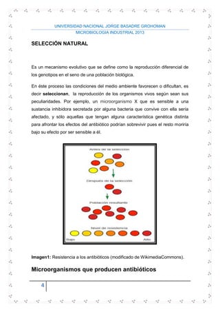 UNIVERSIDAD NACIONAL JORGE BASADRE GROHOMAN
MICROBIOLOGIA INDUSTRIAL 2013
4
SELECCIÓN NATURAL
Es un mecanismo evolutivo que se define como la reproducción diferencial de
los genotipos en el seno de una población biológica.
En éste proceso las condiciones del medio ambiente favorecen o dificultan, es
decir seleccionan, la reproducción de los organismos vivos según sean sus
peculiaridades. Por ejemplo, un microorganismo X que es sensible a una
sustancia inhibidora secretada por alguna bacteria que convive con ella sería
afectado, y sólo aquellas que tengan alguna característica genética distinta
para afrontar los efectos del antibiótico podrían sobrevivir pues el resto moriría
bajo su efecto por ser sensible a él.
Imagen1: Resistencia a los antibióticos (modificado de WikimediaCommons).
Microorganismos que producen antibióticos
 