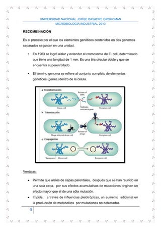 UNIVERSIDAD NACIONAL JORGE BASADRE GROHOMAN
MICROBIOLOGIA INDUSTRIAL 2013
8
RECOMBINACIÓN
Es el proceso por el que los elementos genéticos contenidos en dos genomas
separados se juntan en una unidad.
• En 1963 se logró aislar y extender el cromosoma de E. coli, determinado
que tiene una longitud de 1 mm. Es una tira circular doble y que se
encuentra superenrollado.
• El termino genoma se refiere al conjunto completo de elementos
genéticos (genes) dentro de la célula.
Ventajas:
Permite que alelos de cepas parentales, después que se han reunido en
una sola cepa, por sus efectos acumulativos de mutaciones originan un
efecto mayor que el de una sóla mutación.
Impide, a través de influencias pleiotrópicas, un aumento adicional en
la producción de metabolitos por mutaciones no detectadas.
 