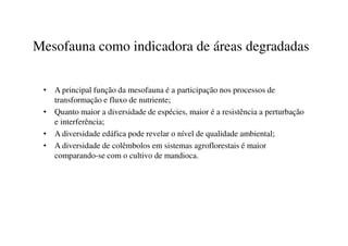 Mesofauna como indicadora de áreas degradadas
• A principal função da mesofauna é a participação nos processos de
transformação e fluxo de nutriente;
• Quanto maior a diversidade de espécies, maior é a resistência a perturbação
e interferência;e interferência;
• A diversidade edáfica pode revelar o nível de qualidade ambiental;
• A diversidade de colêmbolos em sistemas agroflorestais é maior
comparando-se com o cultivo de mandioca.
 