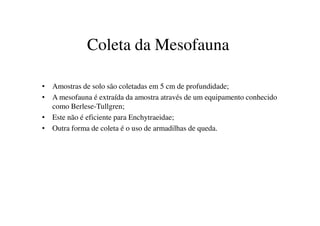 Coleta da Mesofauna
• Amostras de solo são coletadas em 5 cm de profundidade;
• A mesofauna é extraída da amostra através de um equipamento conhecido
como Berlese-Tullgren;
• Este não é eficiente para Enchytraeidae;• Este não é eficiente para Enchytraeidae;
• Outra forma de coleta é o uso de armadilhas de queda.
 