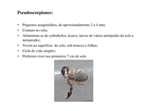 Pseudoscorpiones:
• Pequenos araquinídeos, de aproximadamente 2 a 4 mm;
• Comuns no solo;
• Alimentam-se de colêmbolos, ácaros, larvas de vários artrópodes do solo e
nematoides;
• Vivem na superfície do solo, sob troncos e folhas;
• Ciclo de vida simples;
• Preferem viver nos primeiros 7 cm do solo.• Preferem viver nos primeiros 7 cm do solo.
 