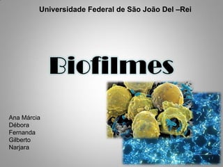 Universidade Federal de São João Del –Rei
Biofilmes
Ana Márcia
Débora
Fernanda
Gilberto
Narjara
 