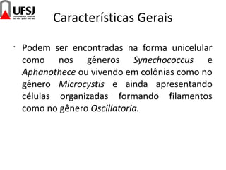 Características Gerais
•
Podem ser encontradas na forma unicelular
como nos gêneros Synechococcus e
Aphanothece ou vivendo em colônias como no
gênero Microcystis e ainda apresentando
células organizadas formando filamentos
como no gênero Oscillatoria.
 