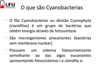 O que são Cyanobacterias
•
O filo Cyanobacterias ou divisão Cyanophyta
(cianófitas) é um grupo de bactérias que
obtém energia através de fotossíntese.
•
São microrganismos procariontes (bactérias
sem membrana nuclear).
•
Possuem um sistema fotossintetizante
semelhante ao das algas eucariontes
apresentando fotossistemas I e clorofila a.
 
