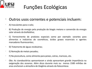 Funções Ecológicas
•
Outros usos correntes e potenciais incluem:
•
A) Inoculantes para o solo;
•
B) Produção de energia pela produção do biogás metano e conversão da energia
solar através da biofotólise;
•
C) Fornecimento de produtos especiais como por exemplo: corantes para
alimentos e indústrias de cosméticos, ácidos graxos essenciais e agentes
marcadores fluorescentes;
•
D) Tratamento de águas residuárias;
•
E) Remoção de metais pesados;
•
F) Na piscicultura, como alimento para peixes, ostras, mariscos, etc.
•
Obs: As cianobactérias apresentaram e ainda apresentam grande importância na
oxigenação dos oceanos. Além disso durante mais ou menos 1500 milhões de
anos encheram a atmosfera de Oxigênio através da fotossíntese.
 