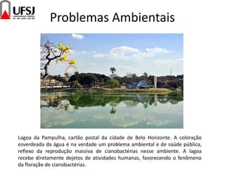 Problemas Ambientais
Lagoa da Pampulha, cartão postal da cidade de Belo Horizonte. A coloração
esverdeada da água é na verdade um problema ambiental e de saúde pública,
reflexo da reprodução massiva de cianobactérias nesse ambiente. A lagoa
recebe diretamente dejetos de atividades humanas, favorecendo o fenômeno
da floração de cianobactérias.
 