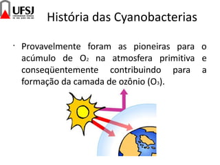 História das Cyanobacterias
•
Provavelmente foram as pioneiras para o
acúmulo de O2 na atmosfera primitiva e
conseqüentemente contribuindo para a
formação da camada de ozônio (O3).
 