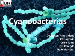 Cyanobacterias
Discentes: Athos Viana
Cássio Faria
Celso Tuma
Igor Rezende
Ítalo Marcossi
 