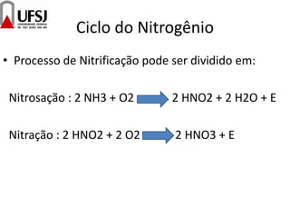Ciclo do Nitrogênio
• Processo de Nitrificação pode ser dividido em:
Nitrosação : 2 NH3 + O2 2 HNO2 + 2 H2O + E
Nitração : 2 HNO2 + 2 O2 2 HNO3 + E
 