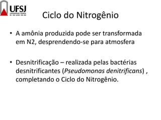 Ciclo do Nitrogênio
• A amônia produzida pode ser transformada
em N2, desprendendo-se para atmosfera
• Desnitrificação – realizada pelas bactérias
desnitrificantes (Pseudomonas denitrificans) ,
completando o Ciclo do Nitrogênio.
 