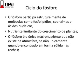Ciclo do fósforo
• O fósforo participa estruturalmente de
moléculas como fosfolipídios, coenzimas e
ácidos nucleicos;
• Nutriente limitante do crescimento de plantas;
• O fósforo é o único macronutriente que não
existe na atmosfera, se não unicamente
quando encontrado em forma sólida nas
rochas;
 