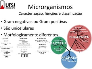 Microrganismos
Caracterização, funções e classificação
• Gram negativas ou Gram positivas
• São unicelulares
• Morfologicamente diferentes
 