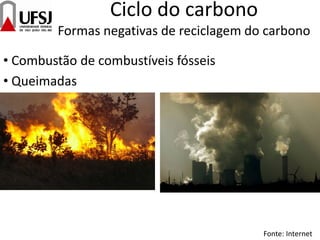 Ciclo do carbono
Formas negativas de reciclagem do carbono
• Combustão de combustíveis fósseis
• Queimadas
Fonte: Internet
 