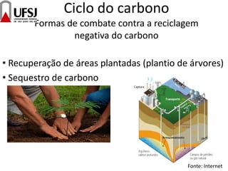 Ciclo do carbono
Formas de combate contra a reciclagem
negativa do carbono
• Recuperação de áreas plantadas (plantio de árvores)
• Sequestro de carbono
Fonte: Internet
 