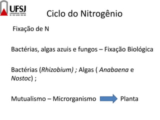 Ciclo do Nitrogênio
Fixação de N
Bactérias, algas azuis e fungos – Fixação Biológica
Bactérias (Rhizobium) ; Algas ( Anabaena e
Nostoc) ;
Mutualismo – Microrganismo Planta
 