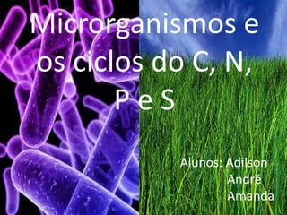 Microrganismos e
os ciclos do C, N,
P e S
Alunos: Adilson
André
Amanda
 