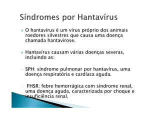 O hantavírus é um vírus próprio dos animais
roedores silvestres que causa uma doença
chamada hantavirose.
Hantavírus causam várias doenças severas,
incluindo as:incluindo as:
- SPH: síndrome pulmonar por hantavírus, uma
doença respiratória e cardíaca aguda.
- FHSR: febre hemorrágica com síndrome renal,
uma doença aguda, caracterizada por choque e
insuficiência renal.
 
