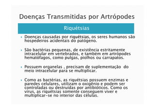 Riquétsias
Doenças causadas por riquétsias, os seres humanos são
hospedeiros acidentais do patógeno.
São bactérias pequenas, de existência estritamente
intracelular em vertebrados, e também em artrópodesintracelular em vertebrados, e também em artrópodes
hematófagos, como pulgas, piolhos ou carrapatos.
Possuem organelas , precisam de suplementação do
meio intracelular para se multiplicar.
Como as bactérias, as riquétsias possuem enzimas e
paredes celulares, utilizam o oxigênio e podem ser
controladas ou destruídas por antibióticos. Como os
vírus, as riquétsias somente conseguem viver e
multiplicar-se no interior das células.
 