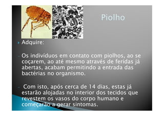 Adquire:
- Os indivíduos em contato com piolhos, ao se
coçarem, ao até mesmo através de feridas já
- Os indivíduos em contato com piolhos, ao se
coçarem, ao até mesmo através de feridas já
abertas, acabam permitindo a entrada das
bactérias no organismo.
- Com isto, após cerca de 14 dias, estas já
estarão alojadas no interior dos tecidos que
revestem os vasos do corpo humano e
começarão a gerar sintomas.
 