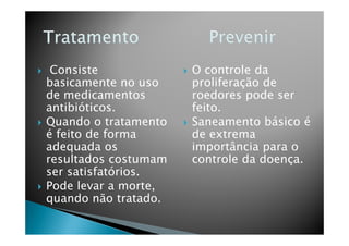 Consiste
basicamente no uso
de medicamentos
antibióticos.
Quando o tratamento
O controle da
proliferação de
roedores pode ser
feito.
Saneamento básico éQuando o tratamento
é feito de forma
adequada os
resultados costumam
ser satisfatórios.
Pode levar a morte,
quando não tratado.
Saneamento básico é
de extrema
importância para o
controle da doença.
 