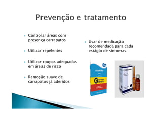 Controlar áreas com
presença carrapatos
Utilizar repelentes
Usar de medicação
recomendada para cada
estágio de sintomas
Utilizar roupas adequadas
em áreas de risco
Remoção suave de
carrapatos já aderidos
 
