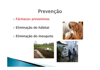 Fármacos preventivos
Eliminação do hábitat
Eliminação do mosquitoEliminação do mosquito
 