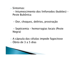 • Sintomas:
- Intumescimento dos linfonodos (bubões) –
Peste Bubônica
- Dor, choques, delírios, prostração
- Septicemia – hemorragias locais (Peste- Septicemia – hemorragias locais (Peste
Negra)
• A cápsula das células impede fagocitose
• Óbito de 3 a 5 dias
 